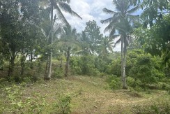 Molugan , EL SALVADOR , Misamis Oriental Lot For Sale