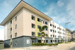 𝗣𝗟𝗨𝗠𝗘𝗥𝗔 𝗠𝗔𝗖𝗧𝗔𝗡 𝗖𝗘𝗕𝗨 𝗖𝗢𝗡𝗗𝗢 𝗙𝗢𝗥 𝗦𝗔𝗟𝗘